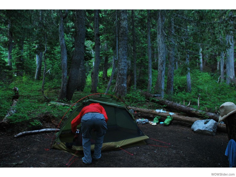 Mount Rainier National Park