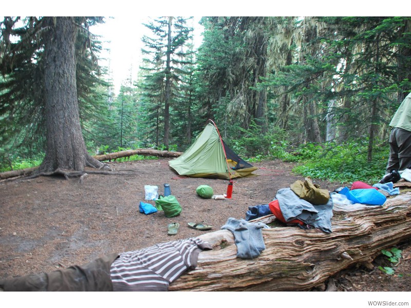 Mount Rainier National Park