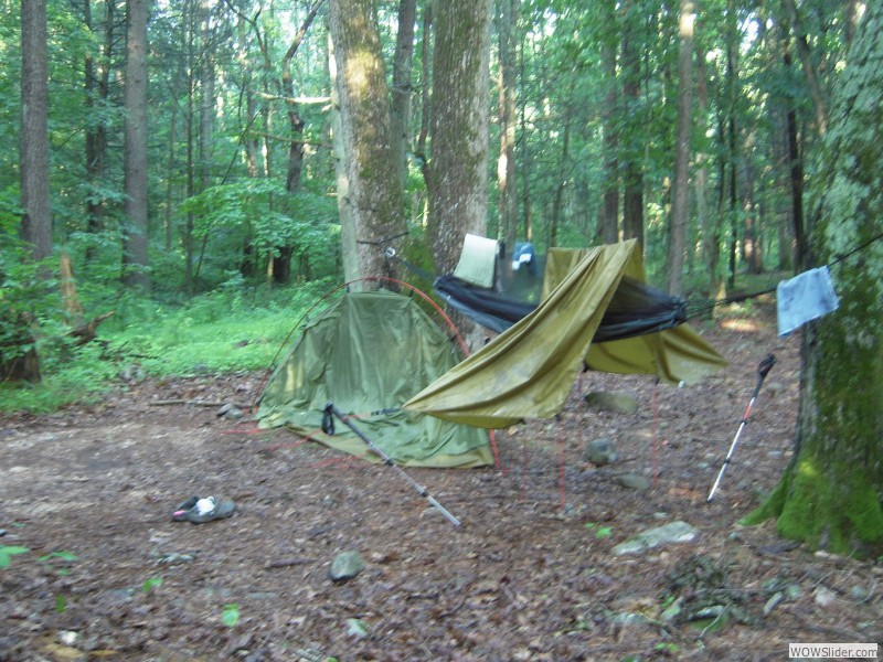 Shenandoah National Park