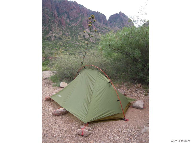 Big Bend National Park