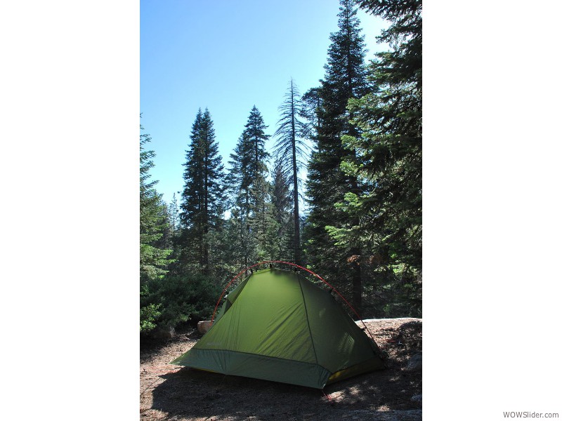 Sequoia National Park