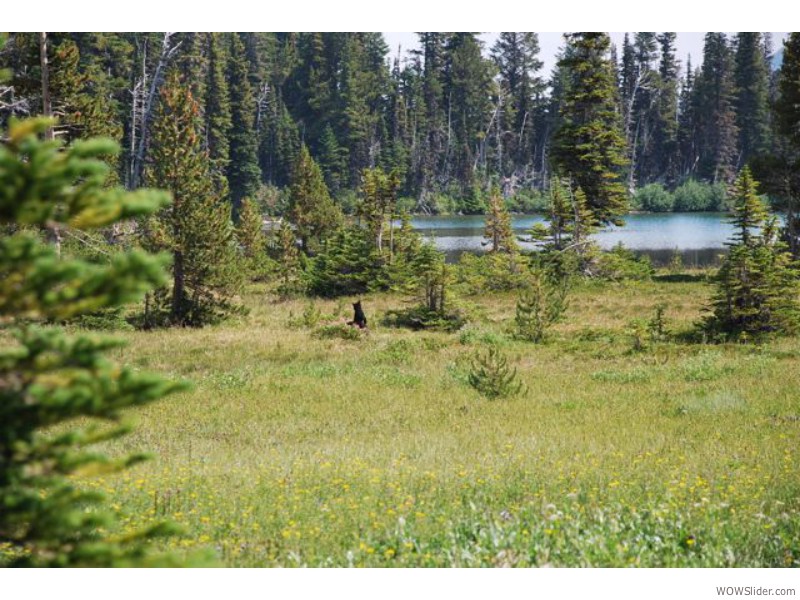 Mount Rainier National Park