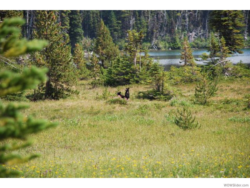 Mount Rainier National Park