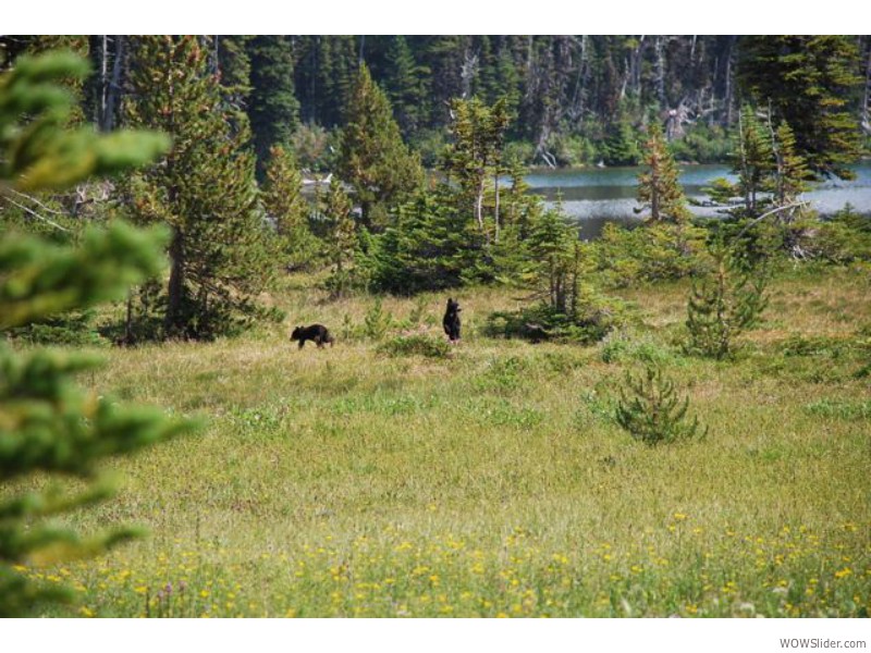 Mount Rainier National Park