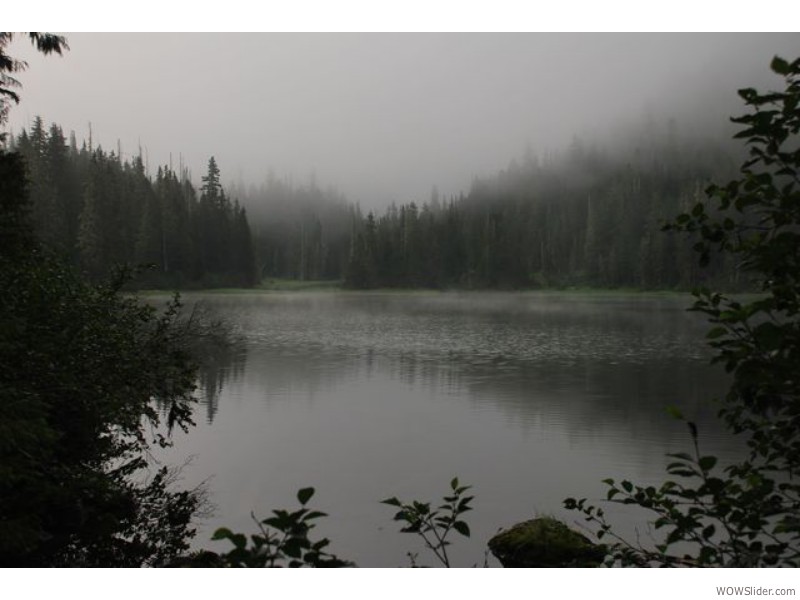 Deer Lake Trail, Oregon